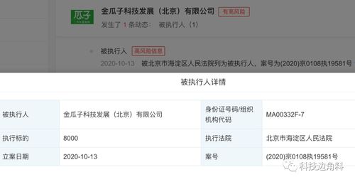 瓜子二手車成被執(zhí)行人，8000元執(zhí)行標(biāo)的牽出技術(shù)開(kāi)發(fā)糾紛